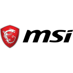 MSI